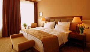 Comfort double with king bed, and private facilities (bath and shower)